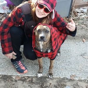 Meet your Posher, Dan